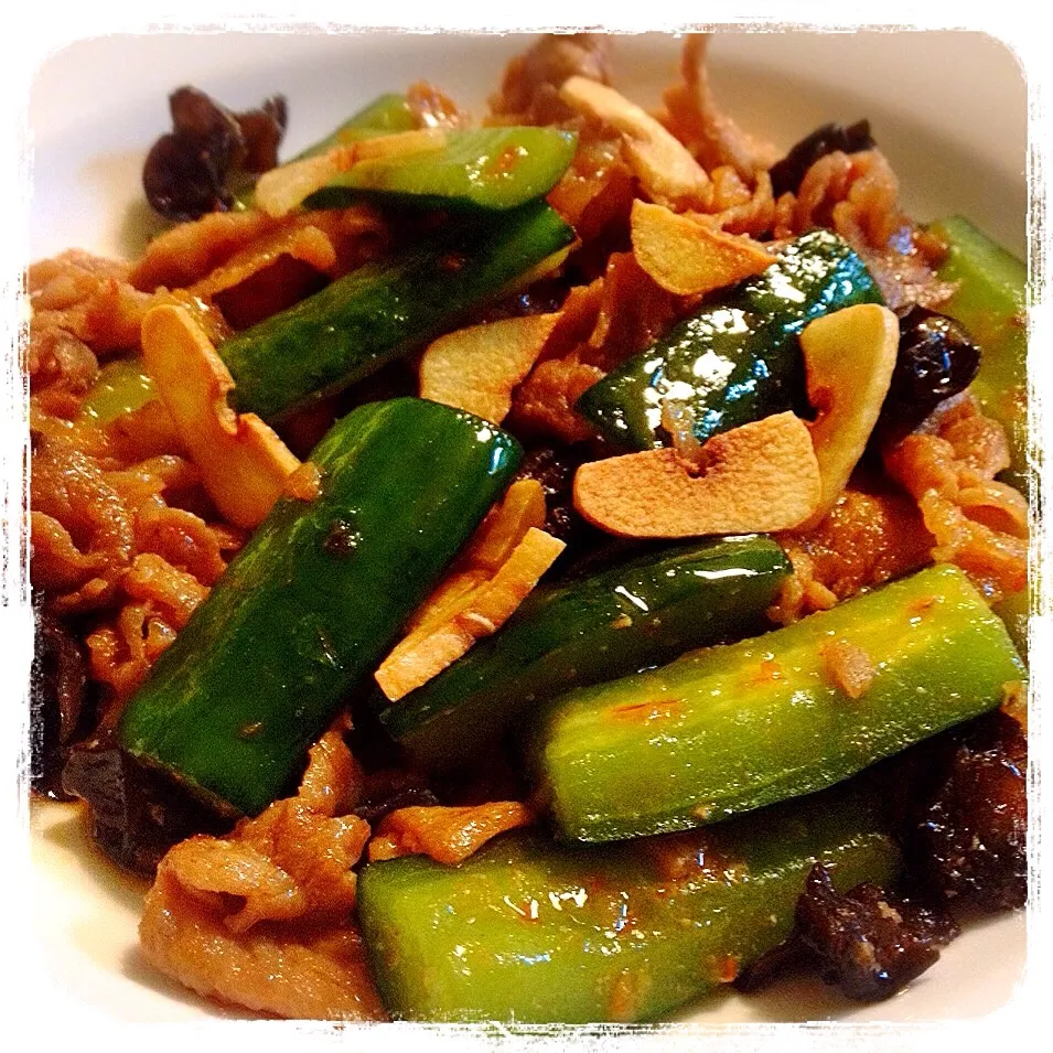 Snapdishの料理写真:キュウリのニンニク&豆板醤炒め。Fried Cucumber with Garlic & Broad bean chili paste|toyamadaさん