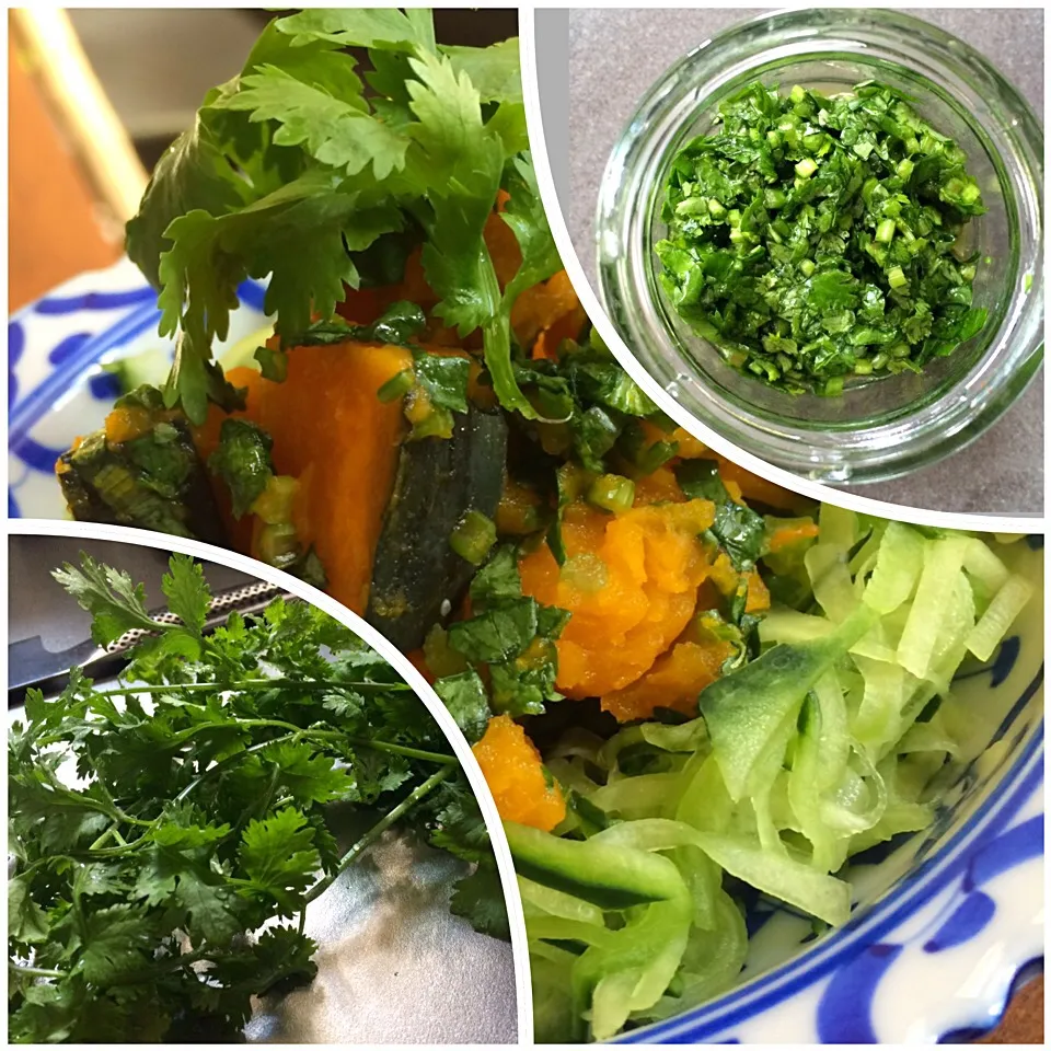 自家製パクダレでかぼちゃのパクダレ和えʕ-̼͡-ʔ🌱🎃🌱|七海さん