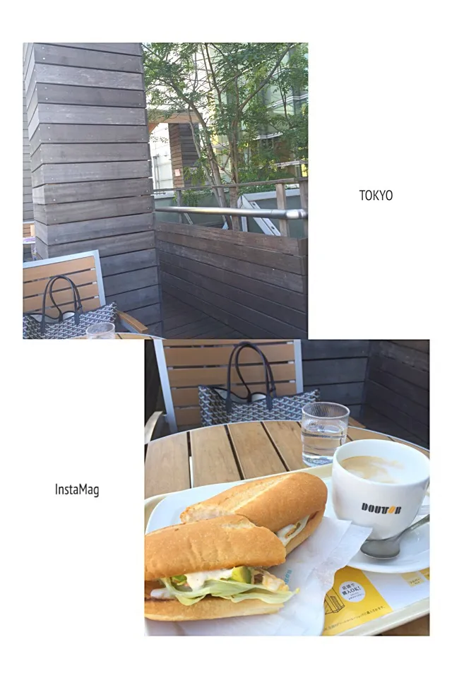 整体帰りの遅めランチ💛いつもの駅ナカドトールテラス☕️🌿|まみりんごさん