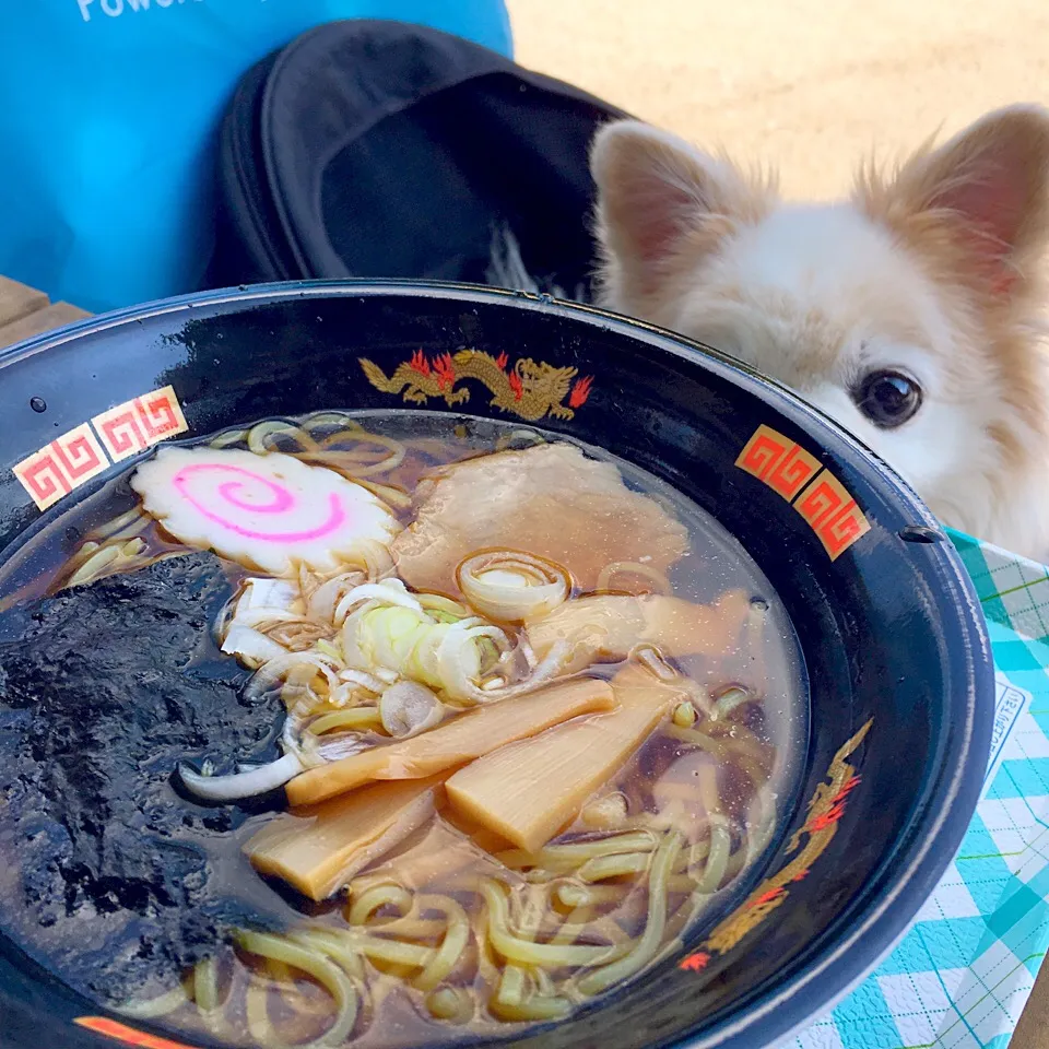 醤油ラーメン|ヒロリンさん