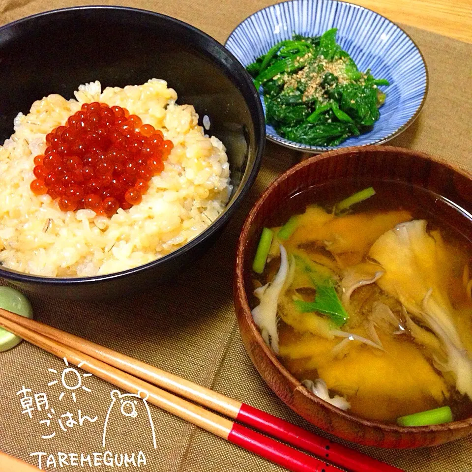 いくら醤油漬けのせ玉子かけご飯、ほうれん草のナムル、舞茸のお味噌汁|たれめぐま◡̈✩*さん