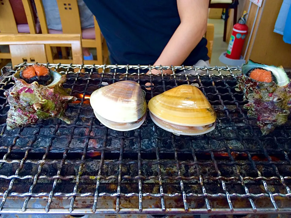 焼きハマグリ(本貝)と地サザエ|あやぽさん