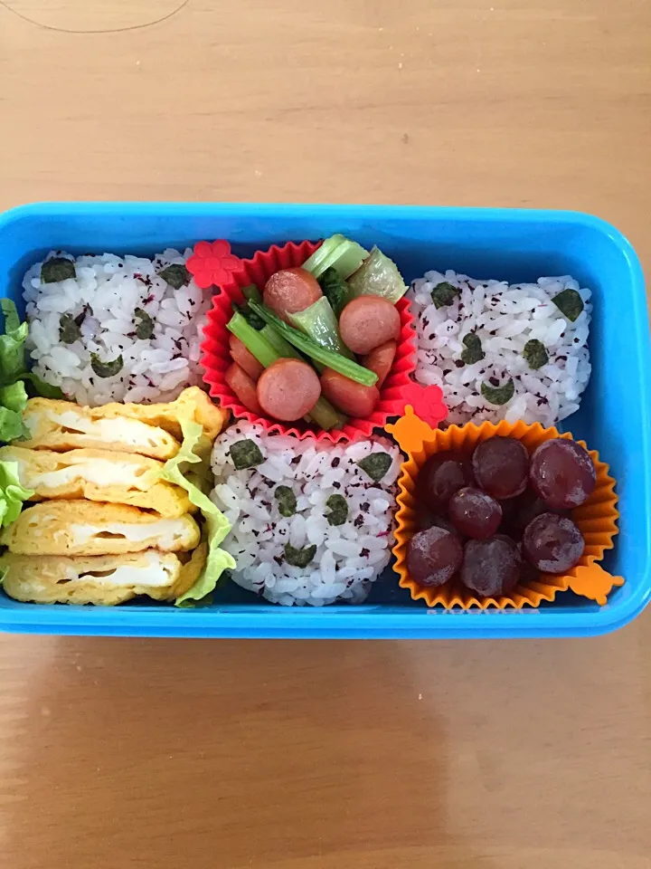 クマちゃん弁当(^ ^)|TOMYさん