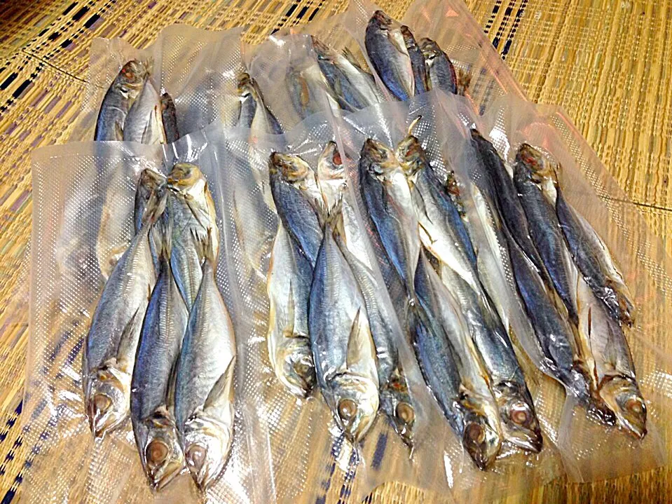 Ikan peda|yeni kartikasariさん