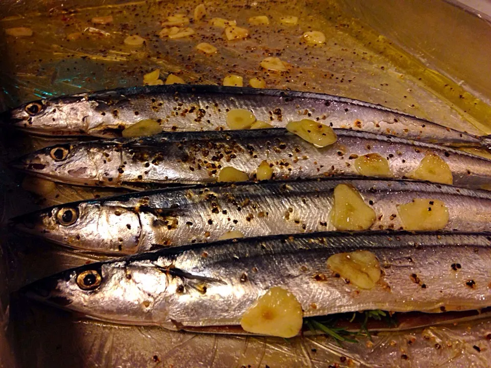 秋刀魚のコンフィ  仕込み中〜|きんじ の息子さん