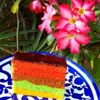 Rainbow Cake. 🌈🍰👌😀
#rainbowcake #dessert #homemade|Frida Rahmawatiさん