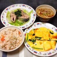 鯖缶と冷凍キャベツのサラダ・白菜と油揚げのお味噌汁・ほうれん草と卵のぺったんこ焼・鮭とキノコのまぜご飯