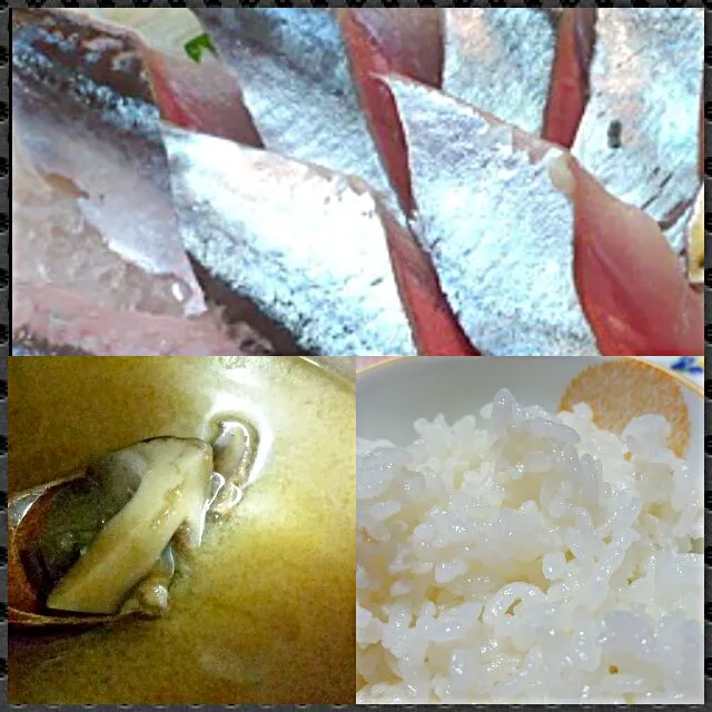 15日今が旬を食べ尽くした。|こやっこさん