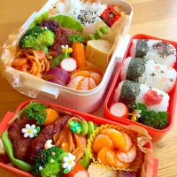 Snapdishの料理写真:遠足お弁当♪