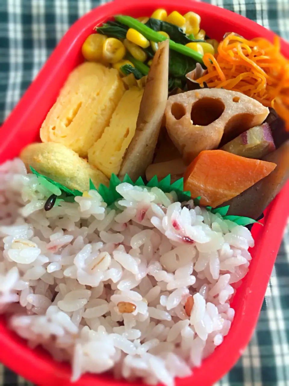 Snapdishの料理写真:平日日勤お弁当|Saoriさん