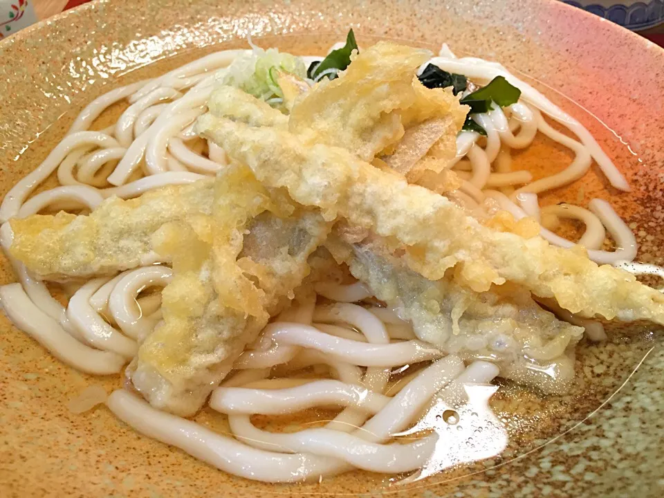 博多名物ごぼう天うどん|マハロ菊池さん