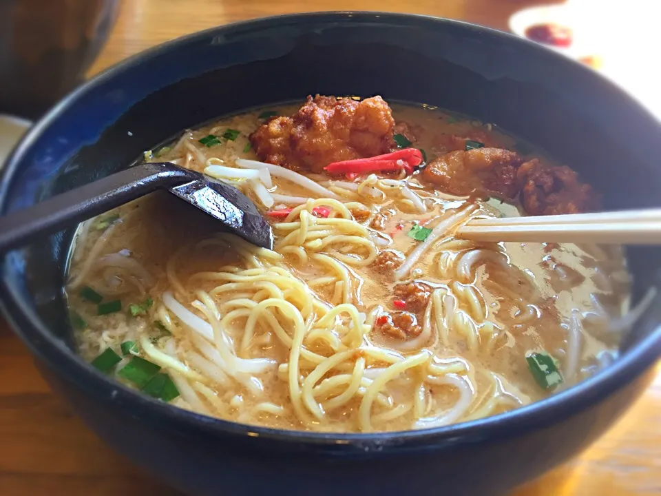 養老 スタミナラーメン|耳木鳥さん