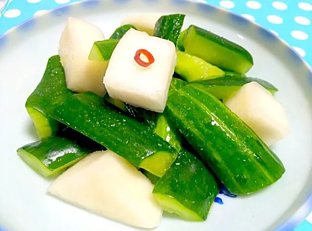 かぶときゅうりのお新香 - white radish & cucumber pickles😋❤️✨|Liezlさん