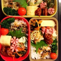 Snapdishの料理写真:大きなだし巻き弁当|Ricodonさん