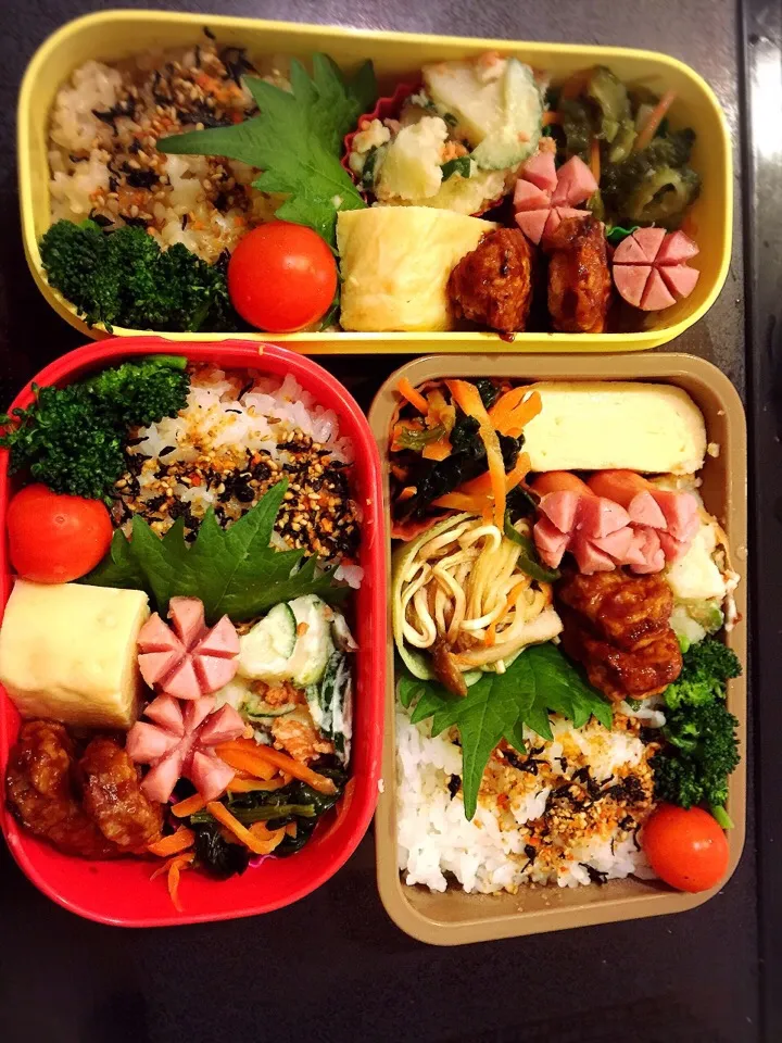 Snapdishの料理写真:大きなだし巻き弁当|Ricodonさん