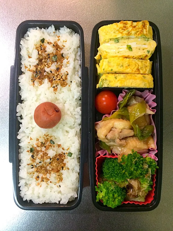 息子用 お弁当(254)|トモさん