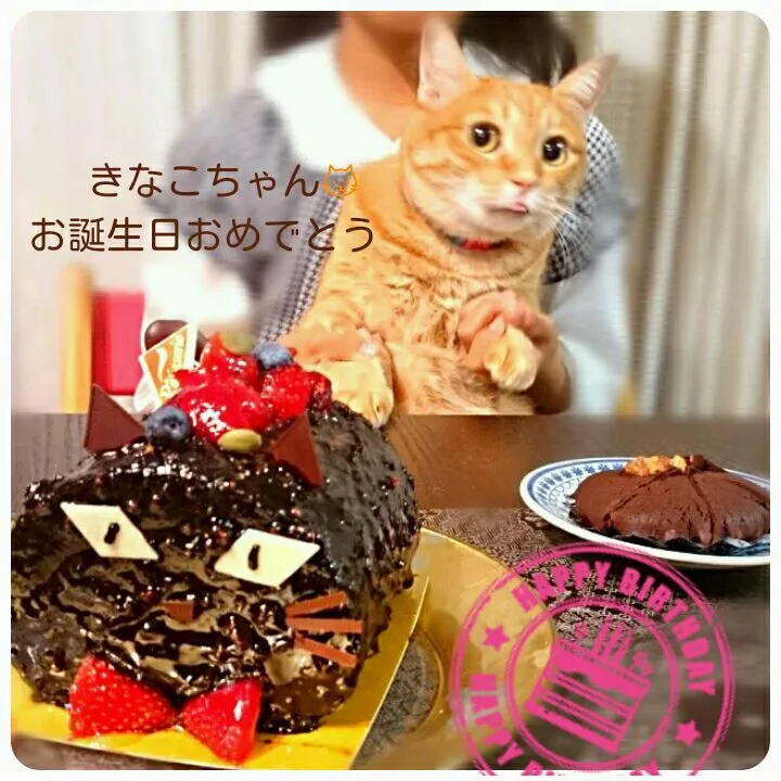 黒猫ケーキで お誕生祝🎂|うさかめさん