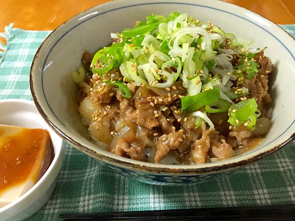 しょうが焼き丼〜ネギたっぷり〜|Kanegonさん