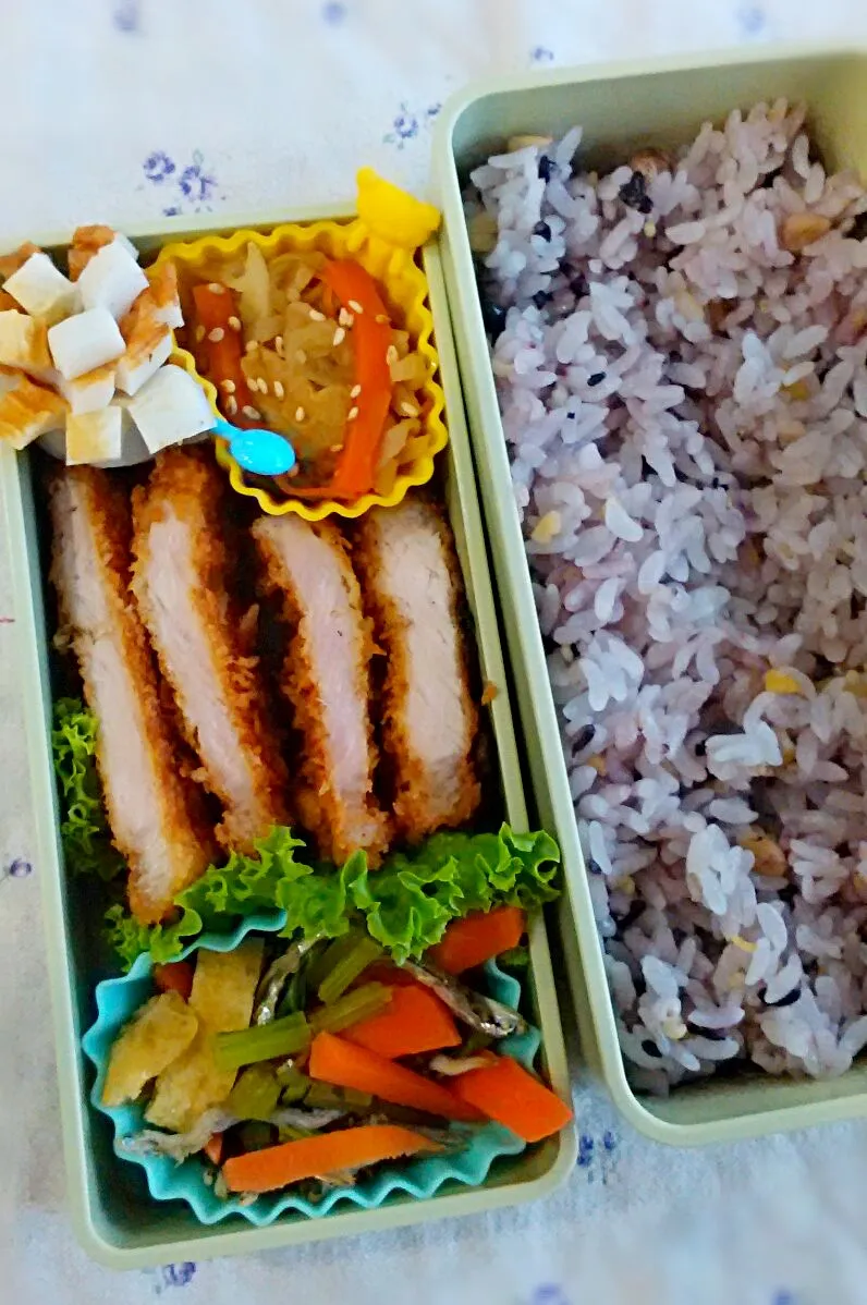 10月19日の娘弁当♪トンカツ弁当＼(^o^)／|ノリティアさん