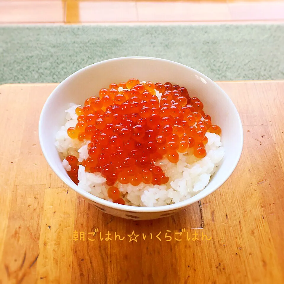 Snapdishの料理写真:朝ごはん☆いくらごはん|のりころさん