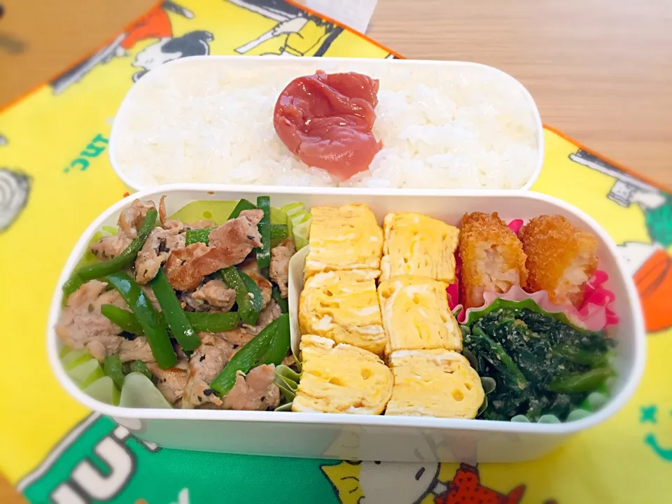 旦那のお弁当|せんちゃんさん