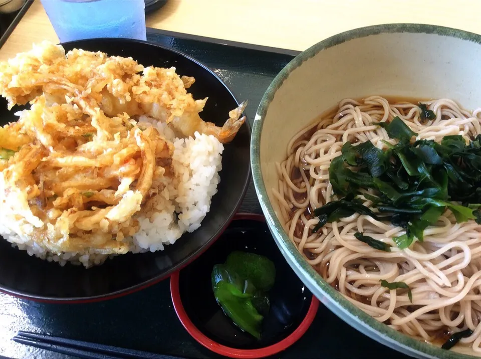 海老天とかき揚げミニ丼、冷たいお蕎麦セット 2015.10.20|キラ姫さん