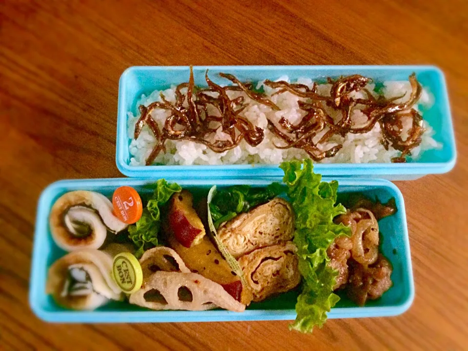 10/21お弁当|カタツムリさん