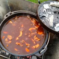 ⛺️ダッチオーブンで作ったビーフシチュー