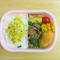 Snapdishの料理写真:今日のお弁当。|しおちゃんさん