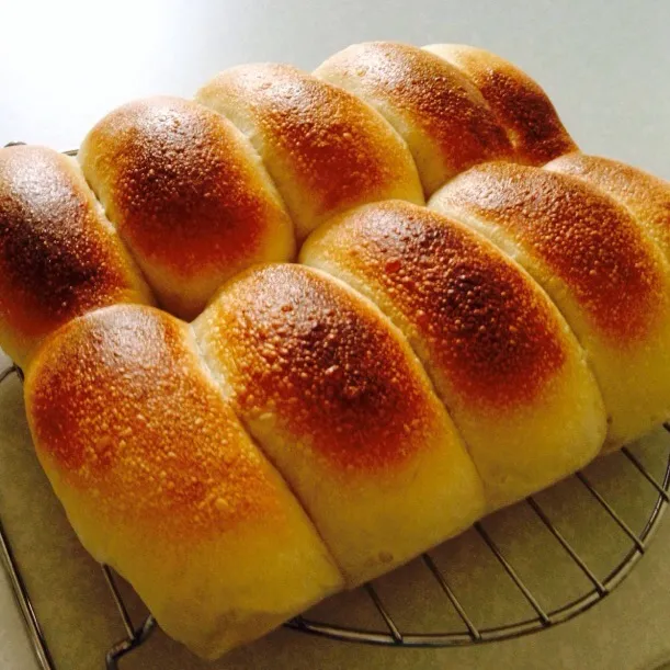 ハルユタカブレンドで食パン|まっちGさん