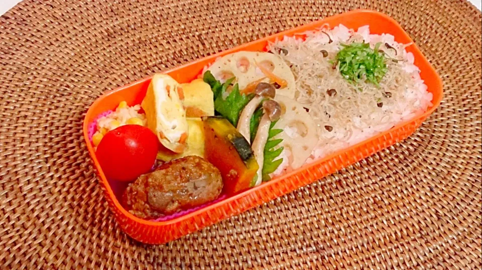 夫のお弁当。はれまのちりめん山椒、サンマハンバーグ、人参だし巻き、北あかりのコーンサラダ、きんぴら蓮根。|やよさん