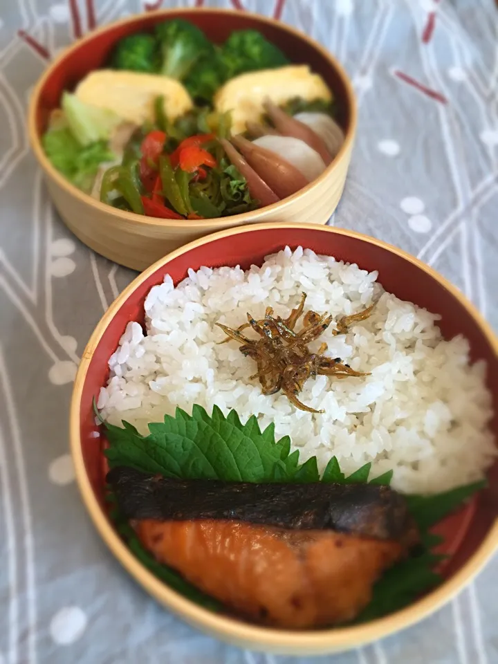 焼鮭、キャベツとハム炒め、ピーマンきんぴら、かぶとミョウガ甘酢漬け、卵焼き、茹でブロッコリー|raku_darさん