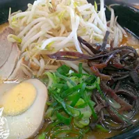 Snapdishの料理写真:もやし豚骨ラーメン(^-^)/頂きました！|masa2014さん