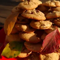 Chocolate chip cookies! 
チョコチップクッキー（＾∇＾）🍪|テッサさん