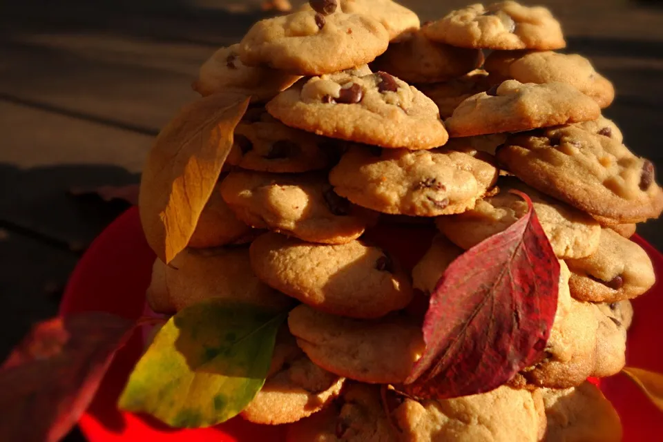 Chocolate chip cookies! 
チョコチップクッキー（＾∇＾）🍪|テッサさん