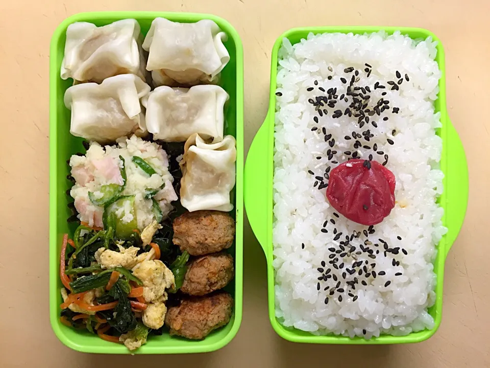 Snapdishの料理写真:お弁当／男子中学生|nayutaさん