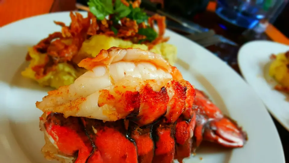 Lobster tail with garlic mashed potatoes|Michael M Schleyerさん