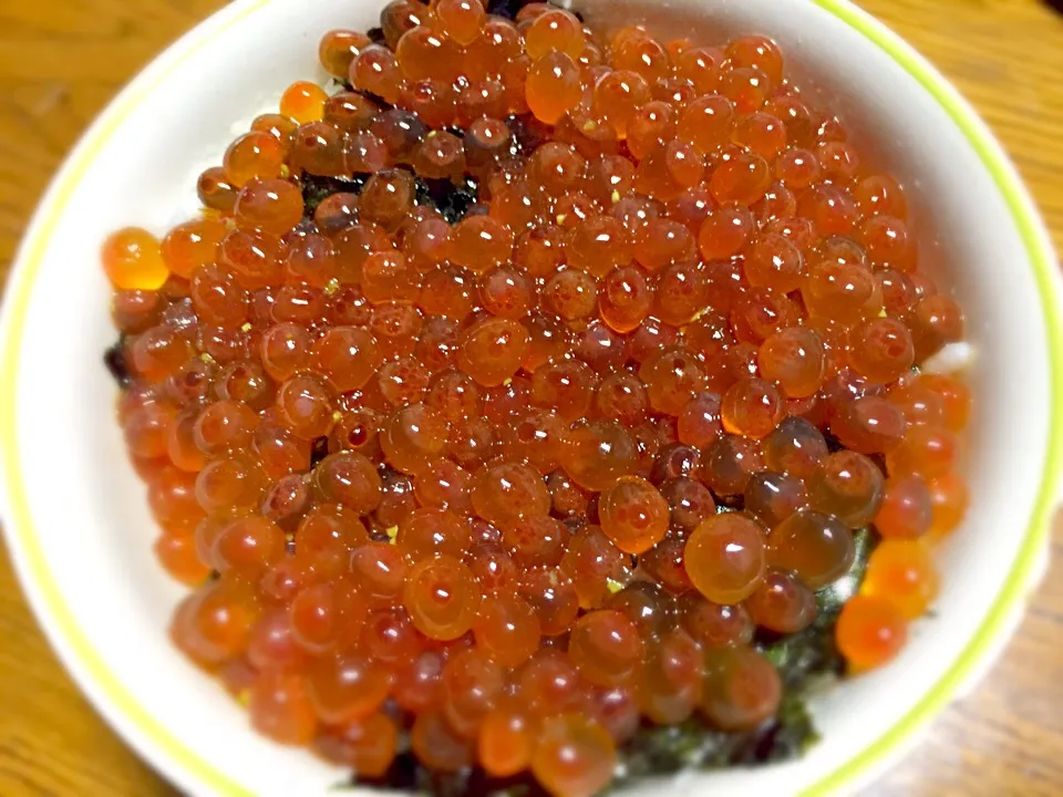 ぷっちぷちのイクラ丼♪
釣りたてを頂いたのでなまら新鮮！
自分で醤油漬けするのは北海道ならでわ♪|Shuta Shimaさん