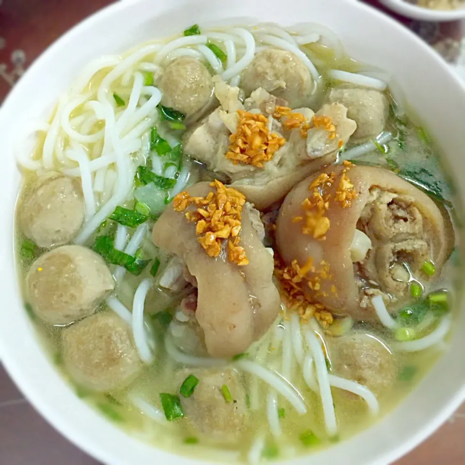 Tay Ninh rice noodles with pettioes and beef balls.|Lucy Nguyenさん