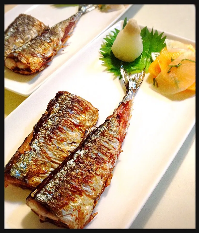 サンマの塩焼き。Salt-Grilled Pacific saury|toyamadaさん