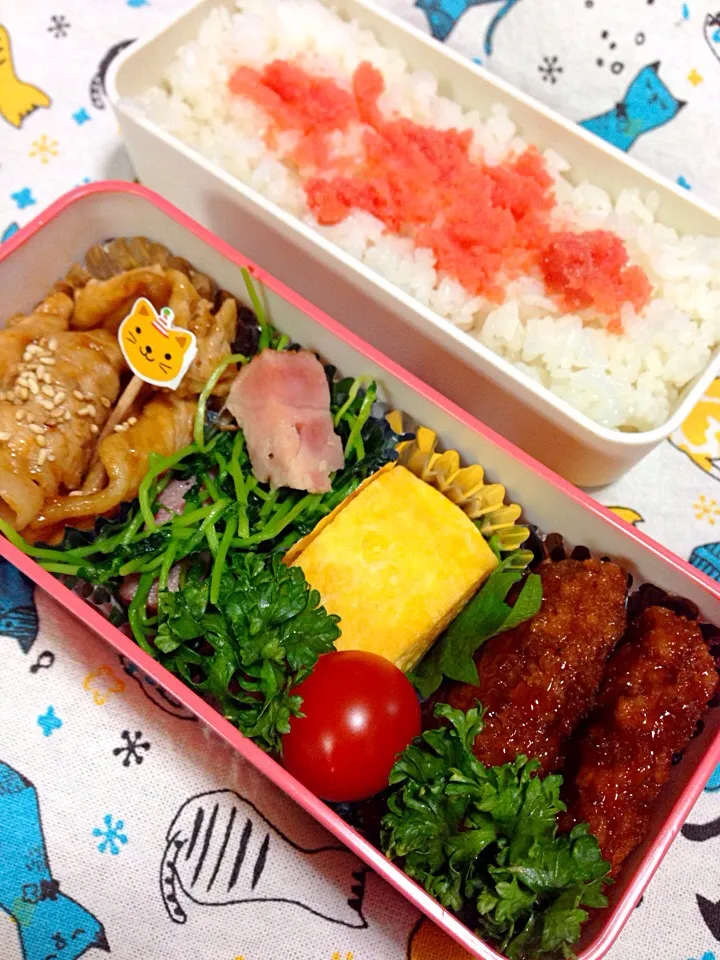 Snapdishの料理写真:お弁当|かりんかさん