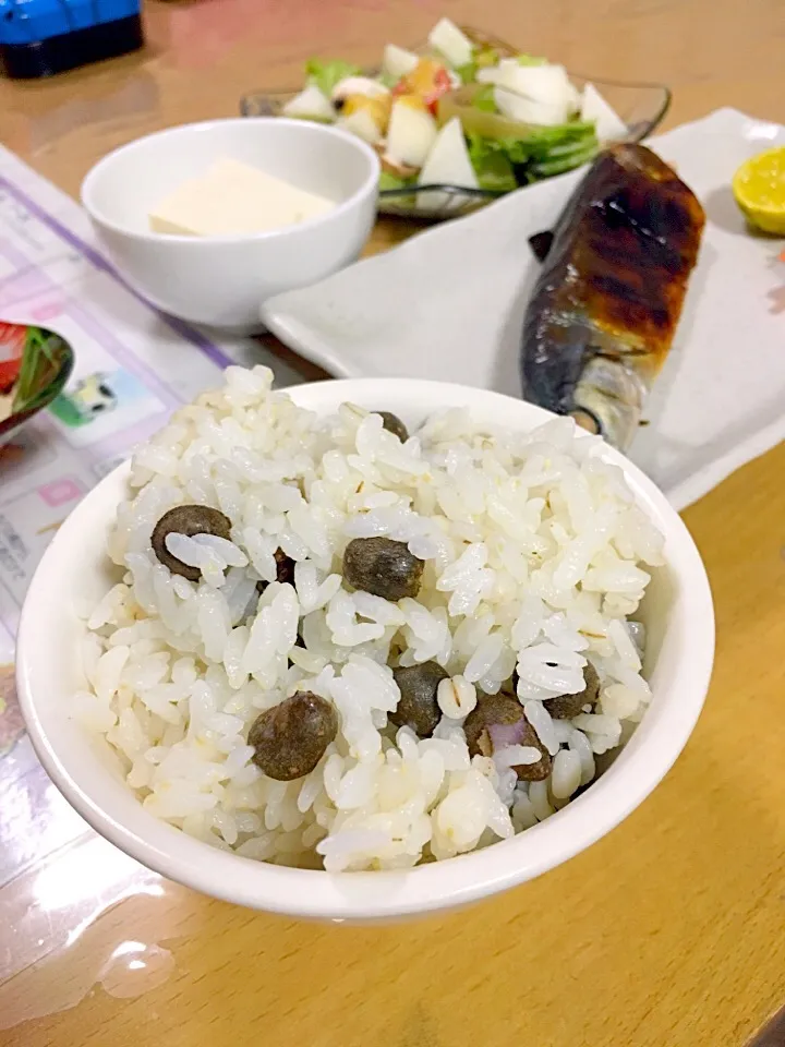 むかごごはん🍚|かわちさん