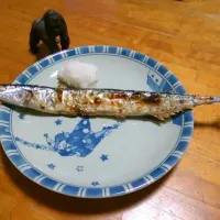 Snapdishの料理写真:秋刀魚の塩焼き|Animalさん