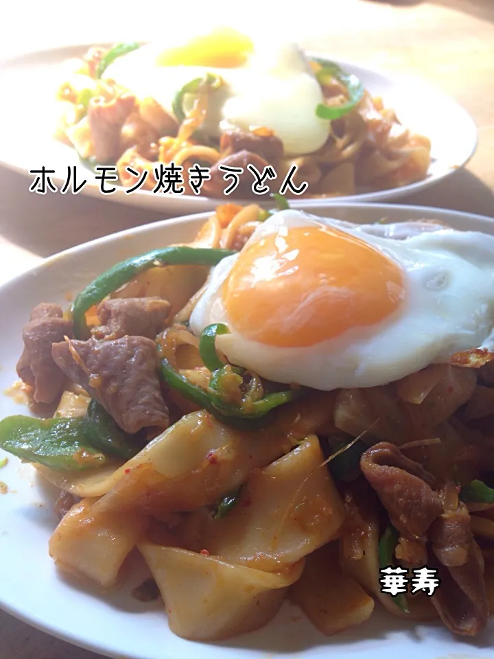 ホルモン焼きうどん|かずきっちんさん