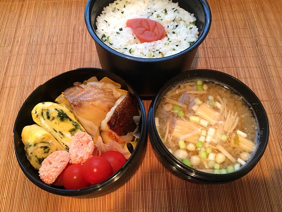 ワカメごはんと、銀ダラ西京焼き弁当|misaoさん