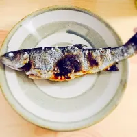 Snapdishの料理写真:ニジマスの塩焼き。|momonchuさん