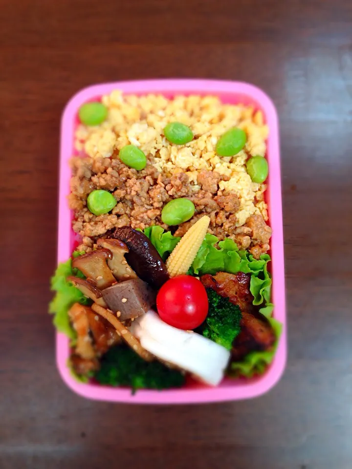 Snapdishの料理写真:10.29 そぼろ弁当|Saemi Itouさん