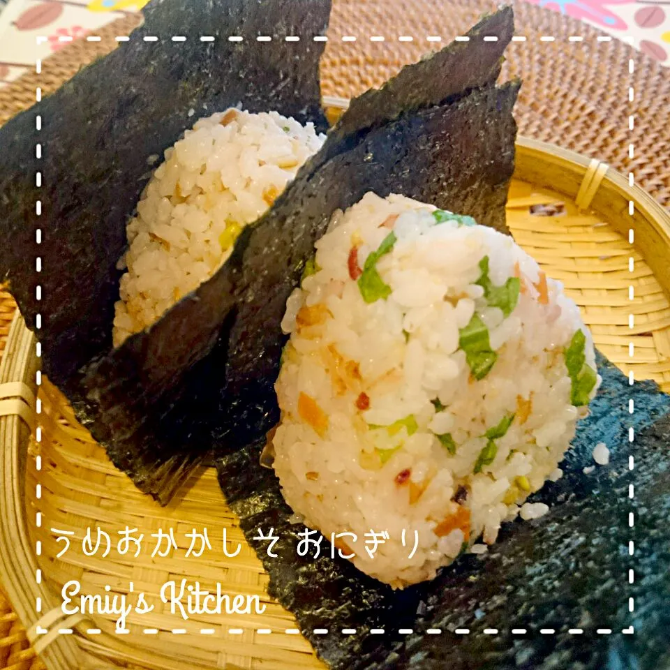 梅おかかシソおにぎり
#世界食料デーキャンペーン100万人のいただきます！
http://jp.tablefor2.org/campaign/onigiri/|エミィ（Emiy）さん