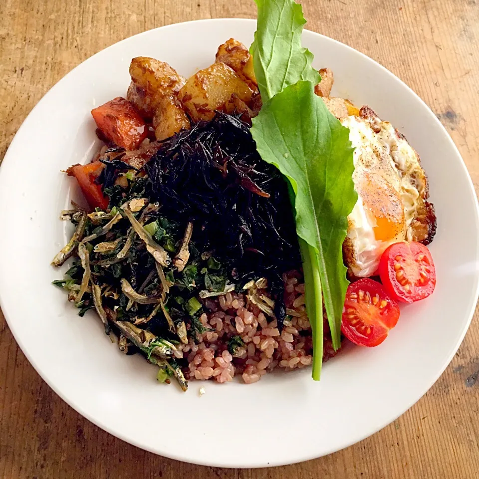 今日のお弁当‼︎ 29 October|Yoshinobu Nakagawaさん