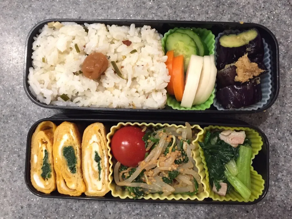 今日のお弁当
・卵焼き
・もやしとほうれん草のごま酢和え
・小松菜の炒め物
・蒸し茄子
・ぬか漬け|herbalkidsさん